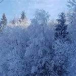 Koronkowe Zacisze *