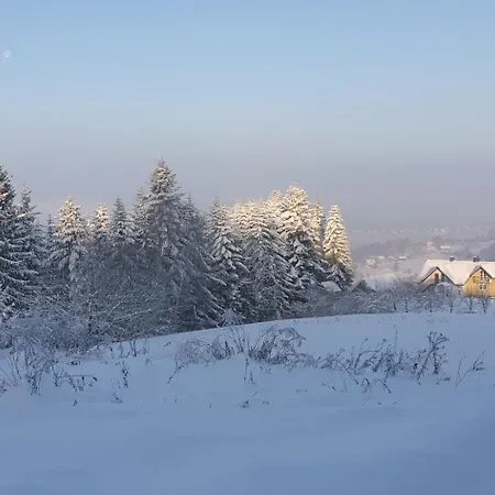 Apartmán Koronkowe Zacisze *