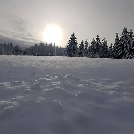 Koronkowe Zacisze